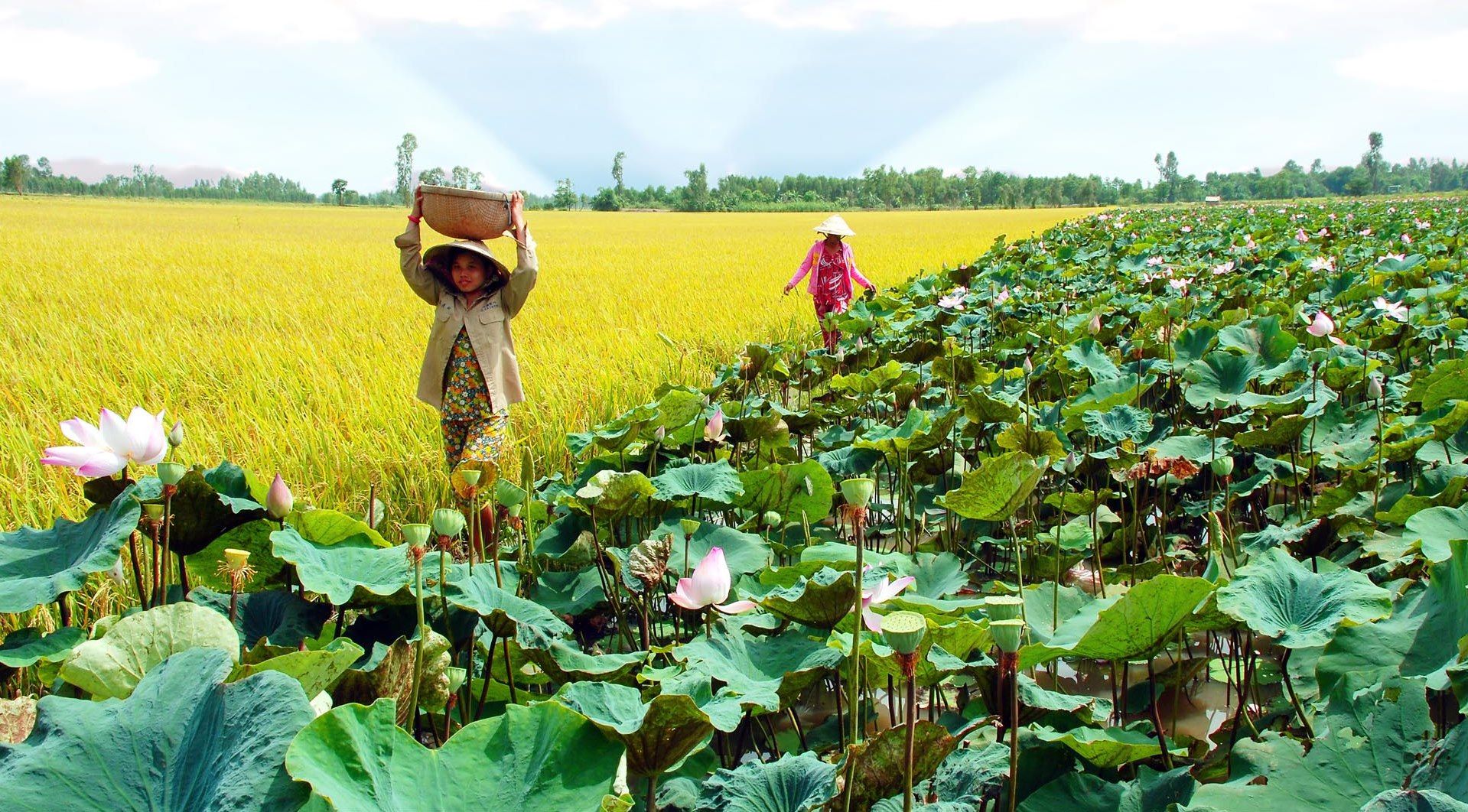 dịch vụ ký gửi nhà đất Đồng Tháp dịch vụ ký gửi nhà đất Đồng Tháp